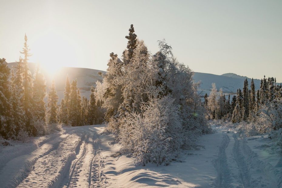 Novogodišnje odluke za 2026. u vašem poslovanju